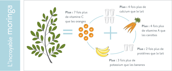 Moringa bienfaiteur